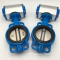 titanium butterfly valve with pneumatic actuator